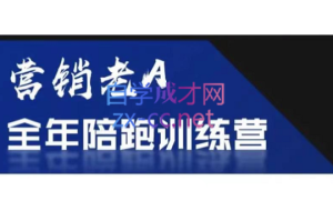 老A营销训练营（更新6月）