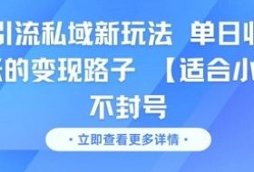 男粉引流私域新玩法，单日收益达10张的变现路子 【适合小白】不封号