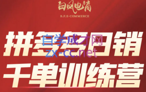 白凤电商·拼多多日销千单训练营（更新6月）
