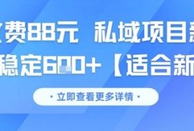 一单收费88元 私域项目新玩法 每天稳定6张+【适合新手】