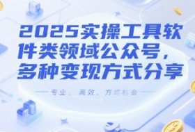 2025实操工具软件类领域公众号，多种变现方式分享