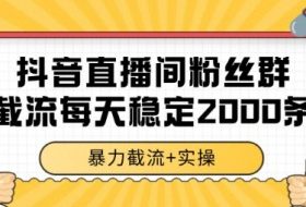 抖音直播间粉丝群暴力截流，一台电脑每天稳定2000条数据【揭秘】