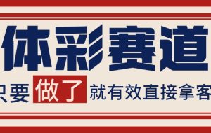 小红书某音体彩赛道引流获客 自热矩阵日引200+