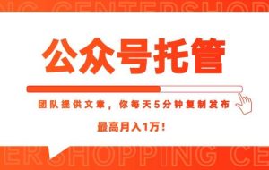 （15109期）【公众号托管 】我提供文章，你每天５分钟复制发布，最高月入1W