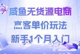咸鱼无货源电商，高客单价玩法，新手1个月入门