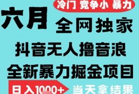 2025年6月高爆抖音无人直播最新撸音浪掘金项目，无脑日入1k+，低门槛小白可做，可矩阵放大【揭秘】