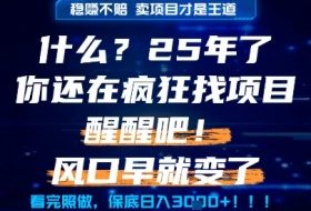 什么？25年你还在疯狂找项目做，醒醒吧，看完这些你全都懂了！【揭秘】