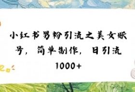 小红书男粉引流项目之美女账号6，简单制作，条条爆款原创，不违规