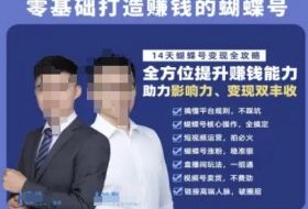 蝴蝶号专栏-视频号运营教程，零基础打造挣钱的蝴蝶号，14天蝴蝶号变现全攻略