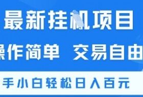 最新挂G项目，操作简单，交易自由，新手小白轻松日入100+【揭秘】
