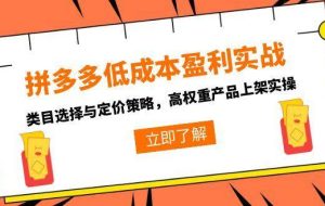 （15143期）拼多多低成本盈利实战，类目选择与定价策略，高权重产品上架实操