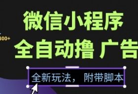 微信小程序全自动撸广告项目，彻底解决没流量的问题，新手一天8张+【揭秘】