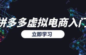 （15158期）拼多多虚拟电商入门，精准选品方法论，无货源模式起盘技巧