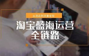 （15160期）淘宝蓝海运营全链路，从选品到流量变现，小类目突围完整方案