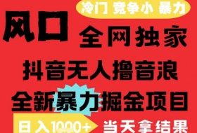 25年6月高爆抖音无人直播最新撸音浪掘金项目，解放双手小白可做，无脑日入1k+，门槛低【揭秘】