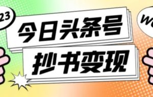 书冷门项目，操作简单，单号一天100+，有人一个月变现1w+！（软件+教程+玩法）