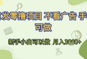 首发零撸项目 不看广告 手机可做 新手小白可以做  月入3k+【揭秘】