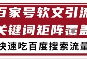 百家号矩阵软文引流 文章粉是非常精准的 吃百度SEO搜索流量长期且稳定【揭秘】