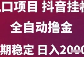 风口项目，六月最新玩法抖音无人挂G，全自动撸金，长期稳定 日入2k+【揭秘】