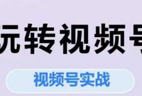 玩转视频号，视频号实战系列课