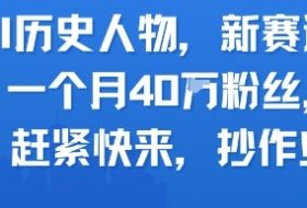 AI历史人物新赛道，一个月40W粉丝，赶紧快来抄作业
