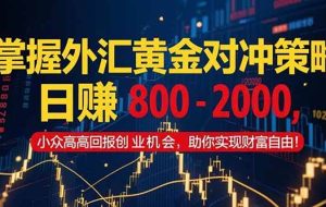 （15198期）掌握外汇黄金对冲策略，日赚 800 – 2000，小众高回报创业机会，助你实…