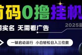 首码0撸挂G项目，无需实名无需看广告 一键启动运行，小白轻松日入三位数【揭秘】