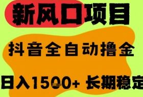 最新风口抖音无人直播掘金，纯暴力项目，无人撸音浪，全自动运行日入1.5k+，可矩阵放大【揭秘】