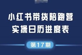 小红书第17期带货陪跑营，不囤货，无不直播，无不投流，通过选品+笔记内容+测品+笔记铺量+矩阵运营打爆款