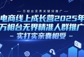 电商线上成长营2025年，万相台无界关键词推广-万相台无界精准人群推广-实打实亲囊相受