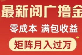 最新阅广撸金项目，零成本满包收益，可矩阵操作，月入过1W【揭秘】