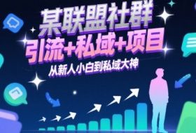 某联盟社群，引流+私域+项目，从新人小白到私域大神