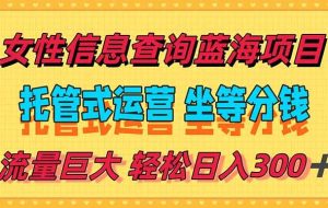（15216期）稳定日入300＋，小众信息查询蓝海项目，全程懒人式托管，解放你的时间