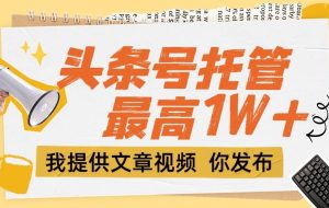 （15222期）【头条号托管 】团队提供文章视频，你发布，每天5分钟，最高躺挣1W+