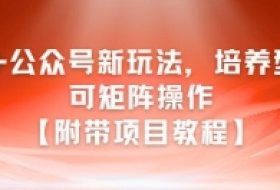 AI+公众号新玩法之培养型，可矩阵操作【附带项目教程】