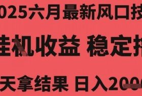 2025六月最新风口技术，无人挂G撸礼物，长期稳定 一个小时收益2k+，小白当天拿结果【揭秘】