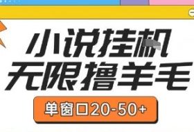 最新小说挂G自撸玩法本人实操单窗口20-50+可矩阵放大操作【揭秘】