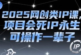 2025网创类IP课，项目会死IP永生，可操作一辈子