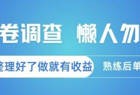 问卷调查，懒人勿扰，问卷都整理好了单价不等，做就有收益，熟练后单日3张【揭秘】
