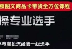 2025短视频图文商品卡投流带货，随心推千川全域搭建优化流程课