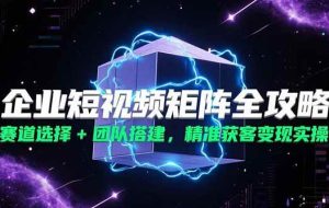 （15242期）企业短视频矩阵全攻略，赛道选择+团队搭建，精准获客变现实操