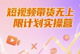短视频带货无上限计划实操营，新人短视频带货工具流养号破播文案运营篇课程