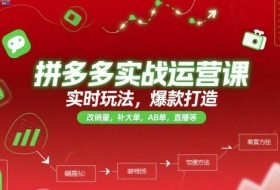 拼多多实战运营课，实时玩法，爆款打造，改销量，补大单，AB单，直播等（更新2025月）