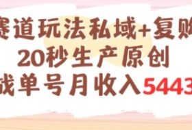 养生赛道玩法私域+复购类型，20秒生产原创实战单号月收入5k+