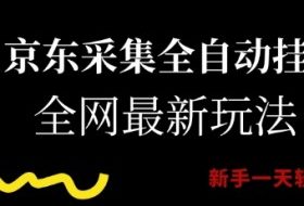 京东采集全自动挂G项目，全网最新玩法新手一天轻松5张【揭秘】