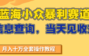蓝海小众暴利赛道，信息查询，当天见收益，不讲玄学，7天搞了2万+