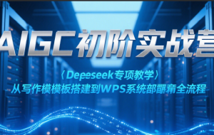 AIGC初阶实战营：Deepseek专项教学，从写作模板搭建到WPS系统部署全流程