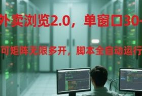 外卖浏览2.0，单窗口30+可矩阵无限多开，脚本全自动运行【揭秘】