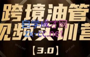阿蔺Leo·跨境油管视频YouTube实训营（更新2025）
