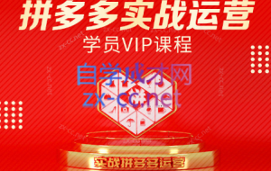 推易电商·拼多多实战运营课（更新2025月）
